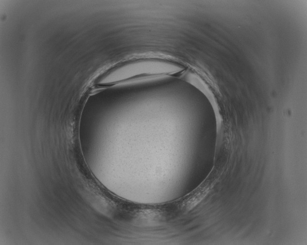 X0000082680111200702091642