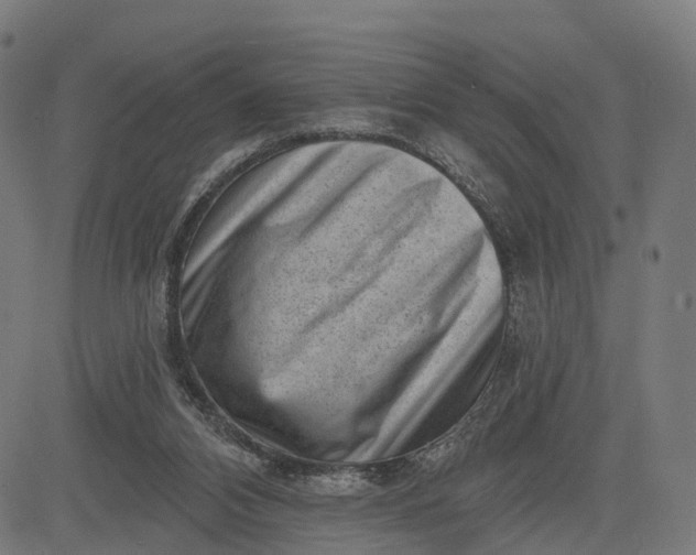 X0000082680112200702091642