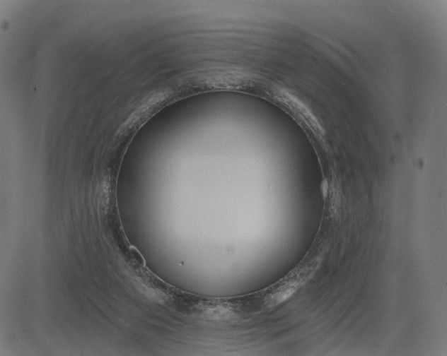 X0000082680113200702091642