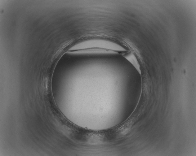 X0000082680115200702091642