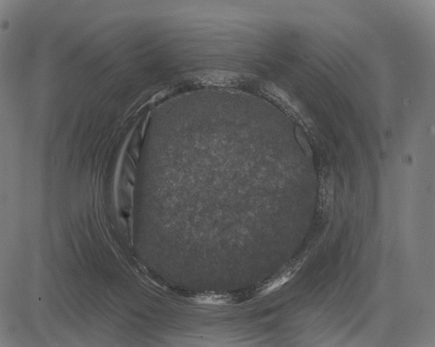 X0000082680117200702091642