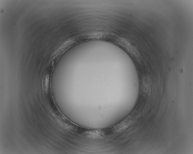 X0000082680118200702091642