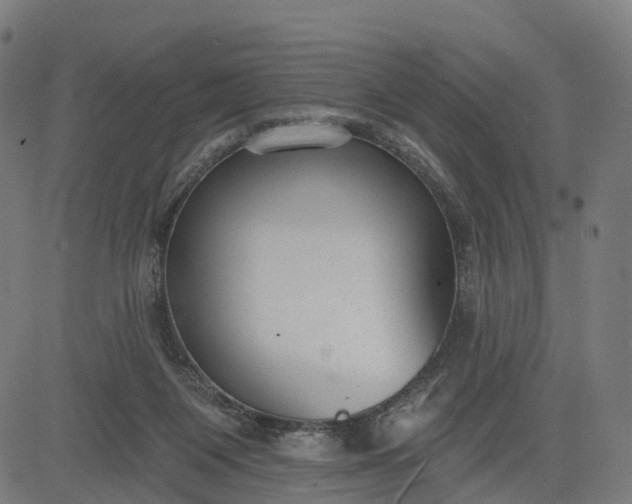 X0000082680119200702091642