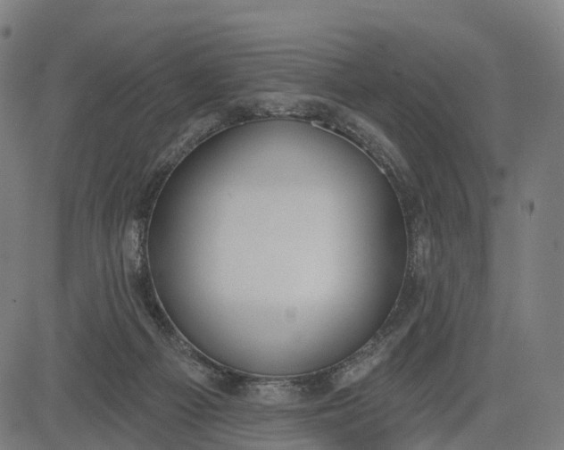 X0000082680121200702091642