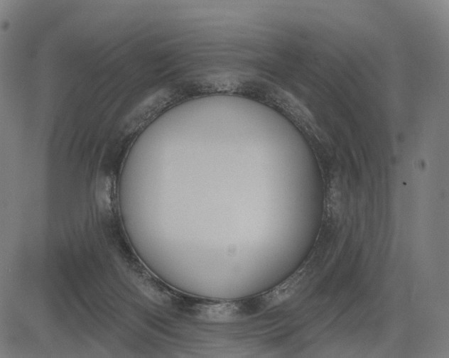 X0000082680122200702091642