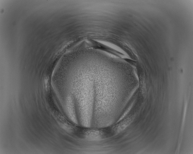 X0000082680123200702091642