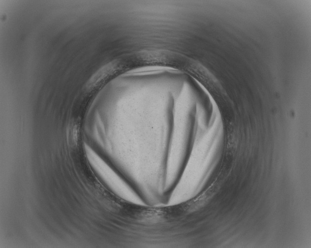 X0000082680124200702091642