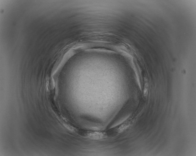 X0000082680125200702091642