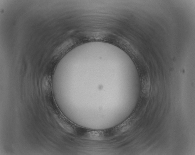 X0000082680126200702091642