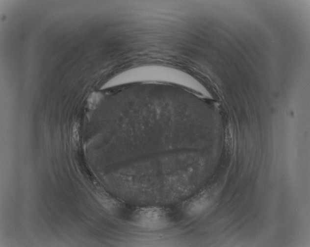 X0000082680127200702091642