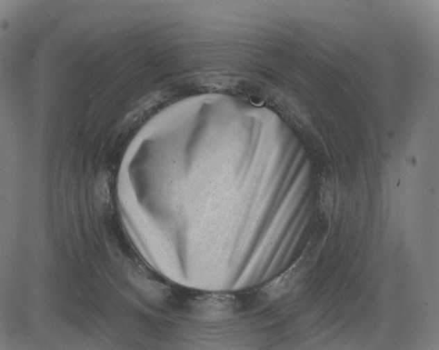 X0000082680128200702091642