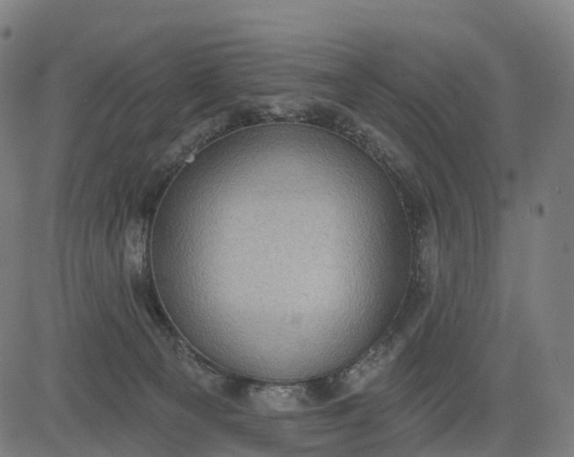 X0000082680129200702091642