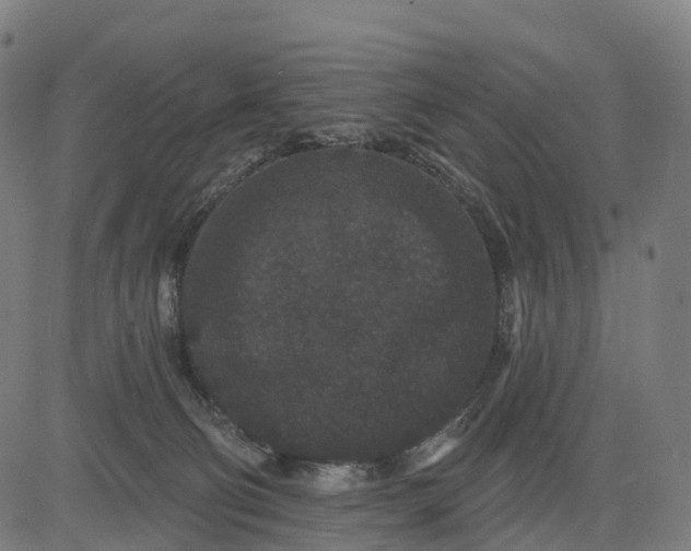 X0000082680130200702091642