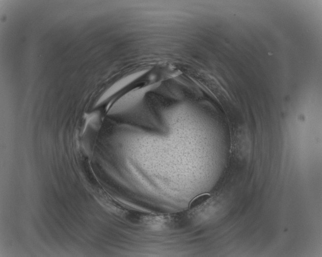 X0000082680131200702091642