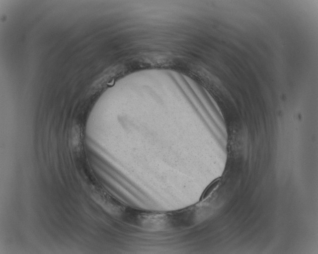 X0000082680132200702091642