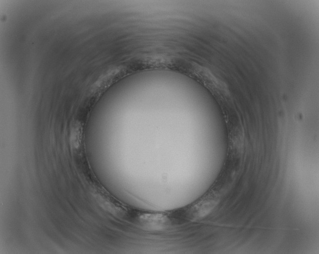 X0000082680133200702091642