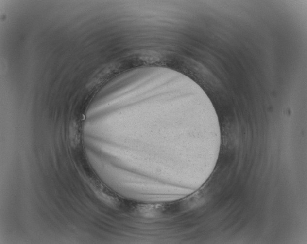 X0000082680136200702091642