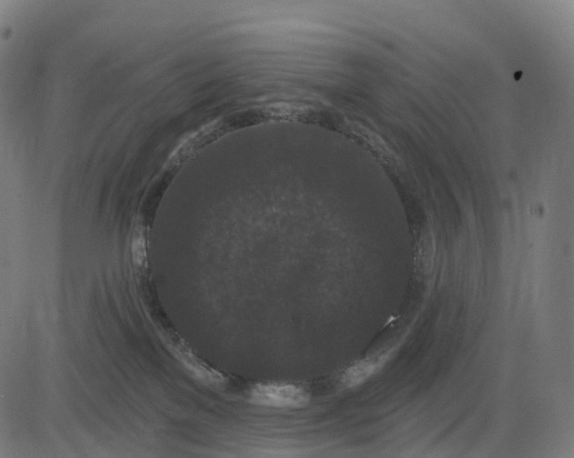 X0000082680137200702091642