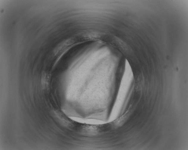 X0000082680140200702091642