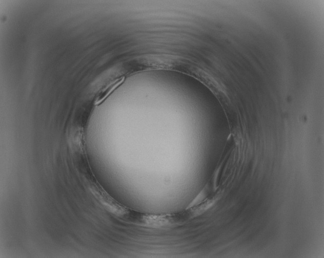 X0000082680141200702091641