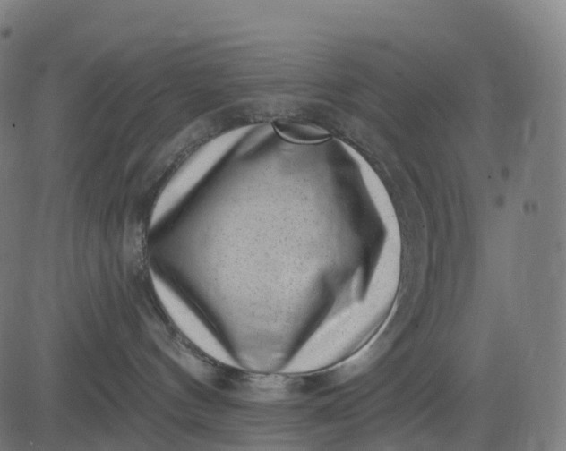 X0000082680144200702091641