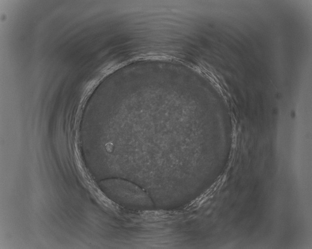 X0000082680145200702091641