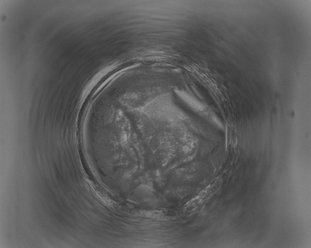 X0000082680147200702091641