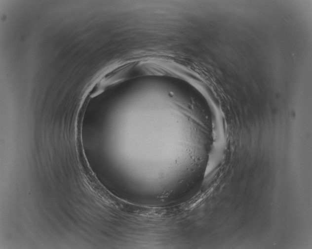 X0000082680148200702091641