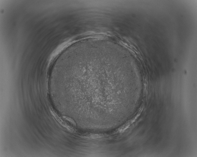 X0000082680149200702091641