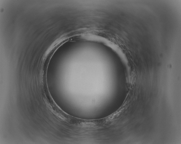 X0000082680150200702091641