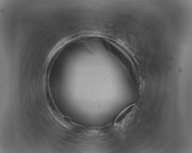 X0000082680151200702091641