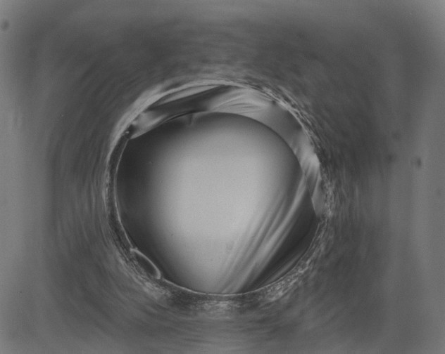 X0000082680152200702091641