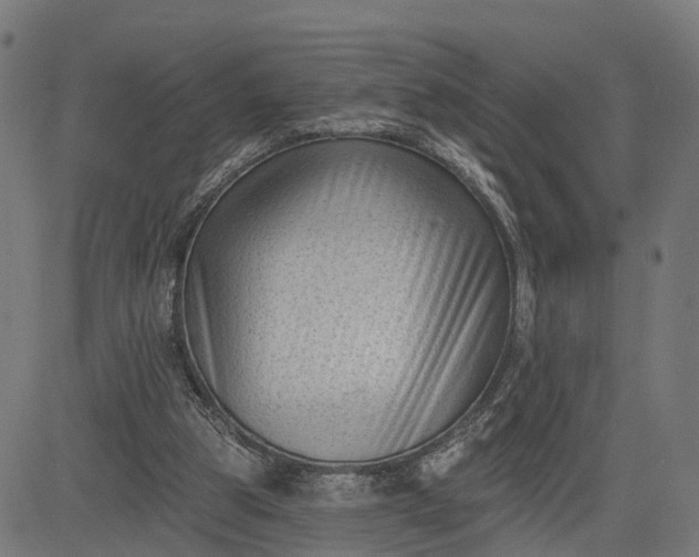 X0000082680153200702091641