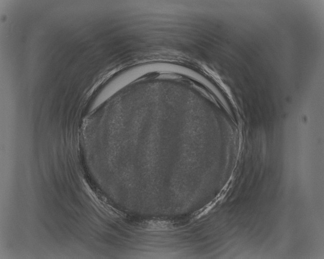 X0000082680154200702091641