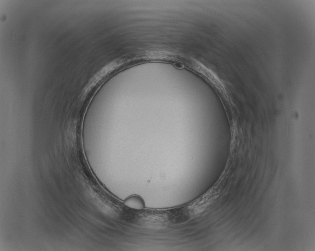 X0000082680155200702091641