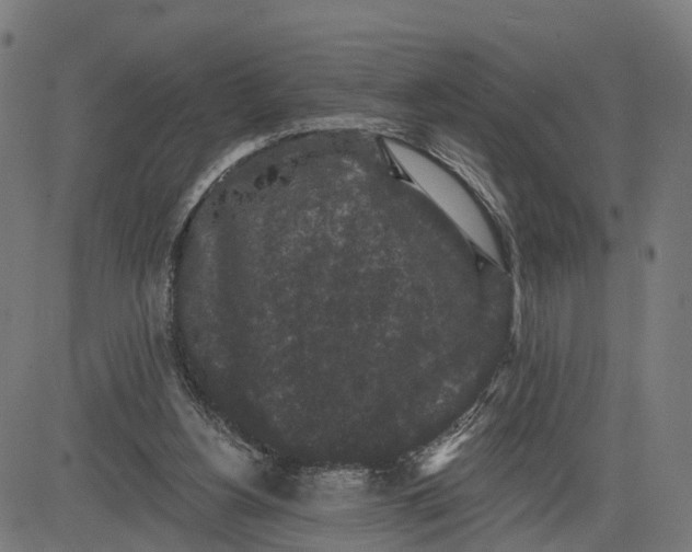 X0000082680156200702091641