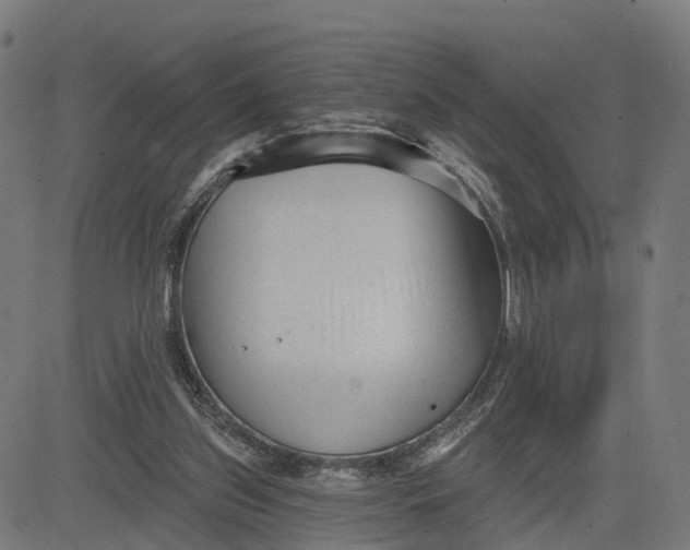 X0000082680157200702091641