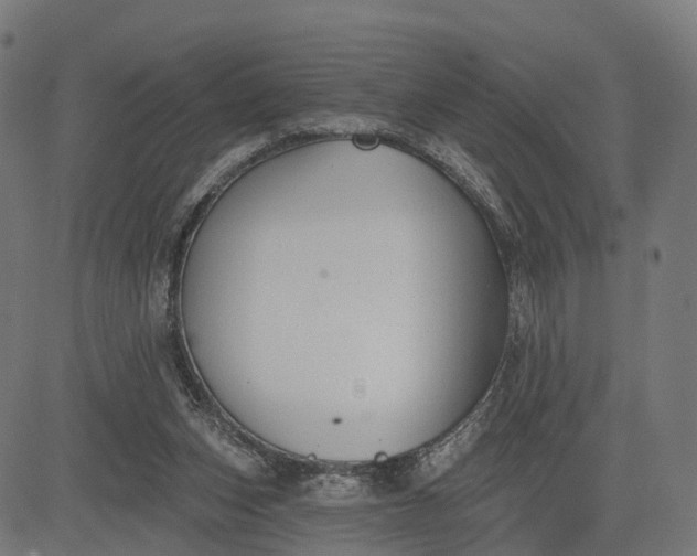 X0000082680159200702091641