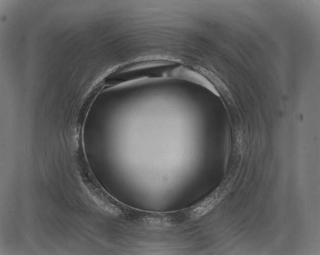 X0000082680160200702091641