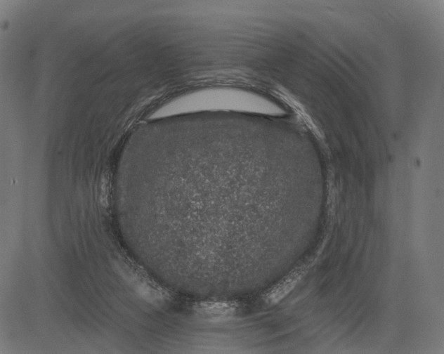 X0000082680161200702091641