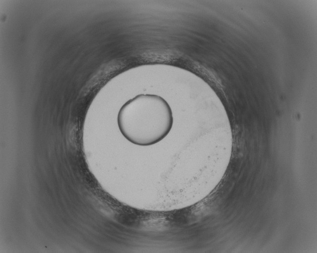 X0000082680162200702091641