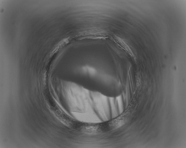 X0000082680163200702091641