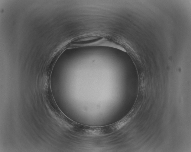 X0000082680164200702091641