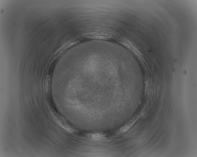 X0000082680165200702091641