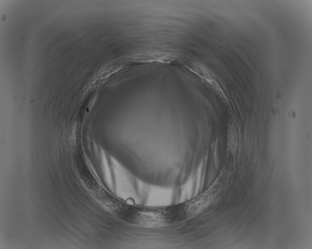 X0000082680167200702091641