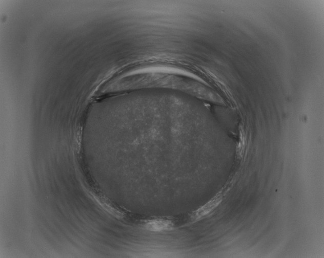 X0000082680168200702091641