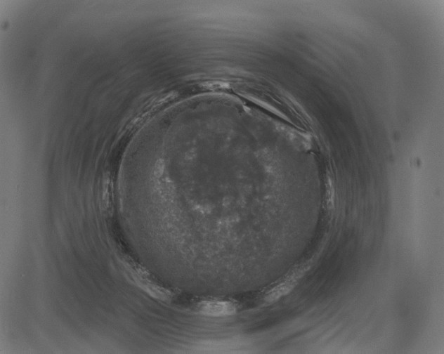 X0000082680169200702091641