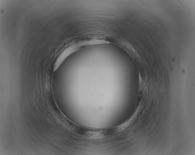 X0000082680170200702091641