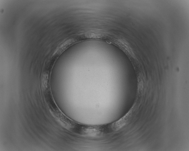 X0000082680171200702091641