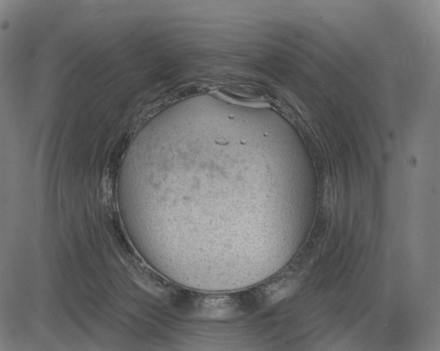 X0000082680173200702091641